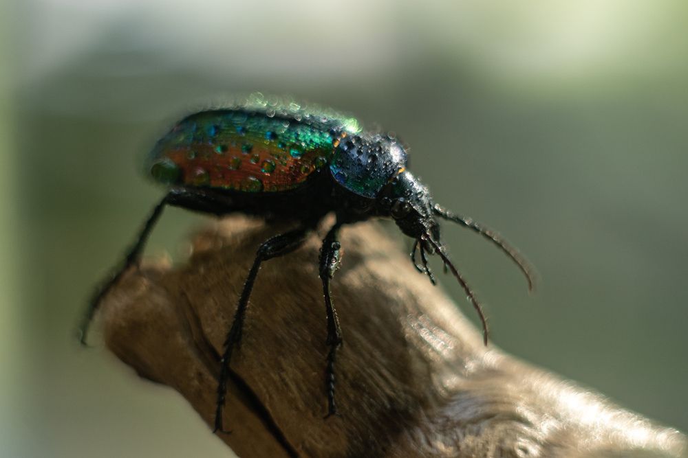 Photograph by Наталья Пилипенко