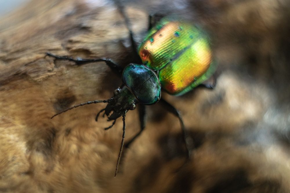 Photograph by Наталья Пилипенко