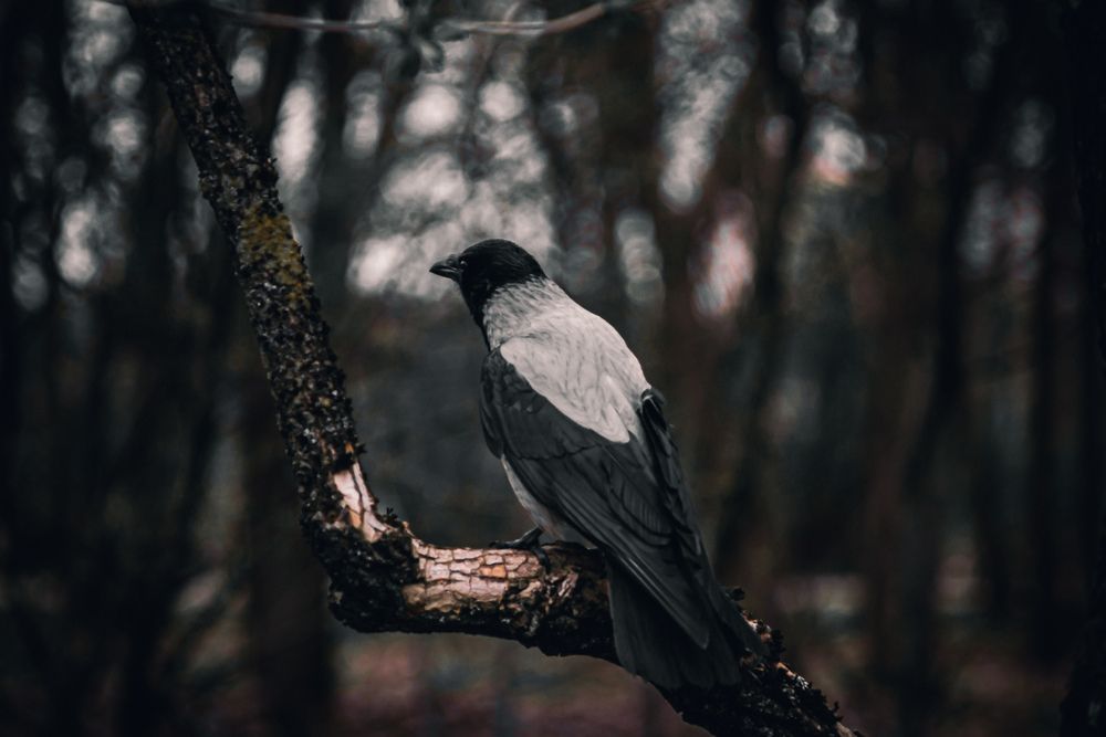 Photograph by Андрей