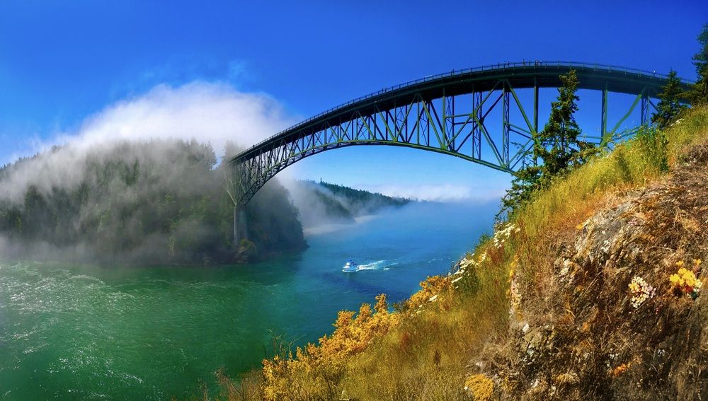 Фотография автора Marina Poushkina