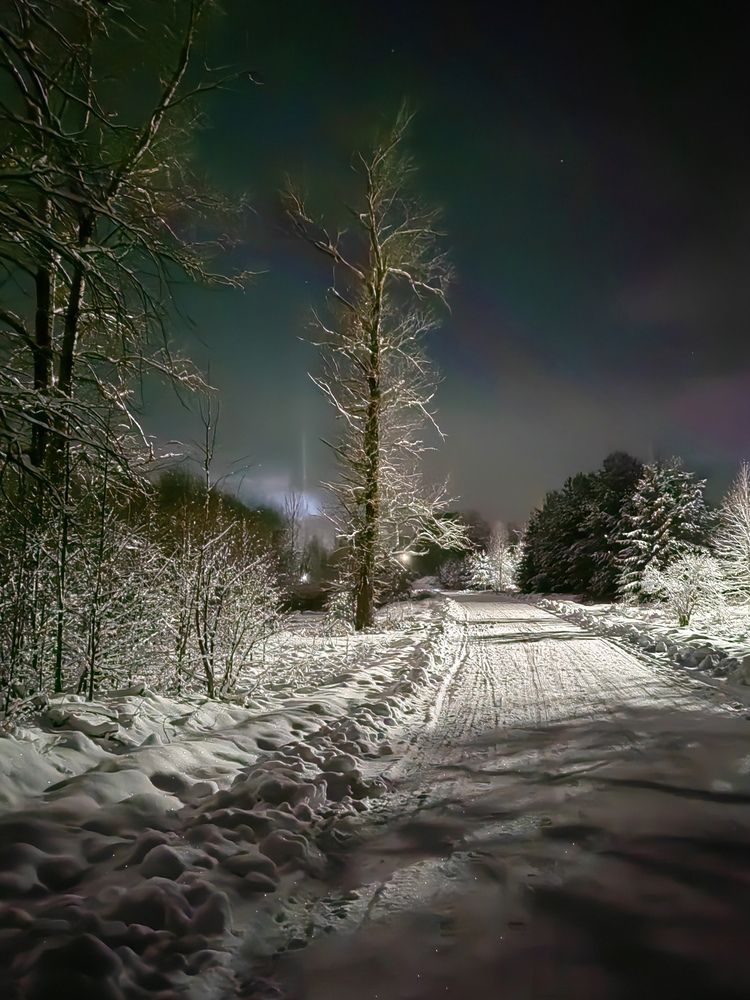 Photograph by Галина Беляева