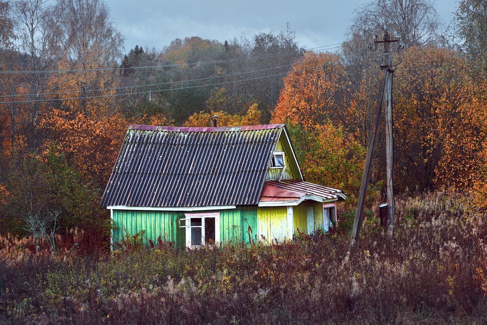 Photograph by Александр Бабашов