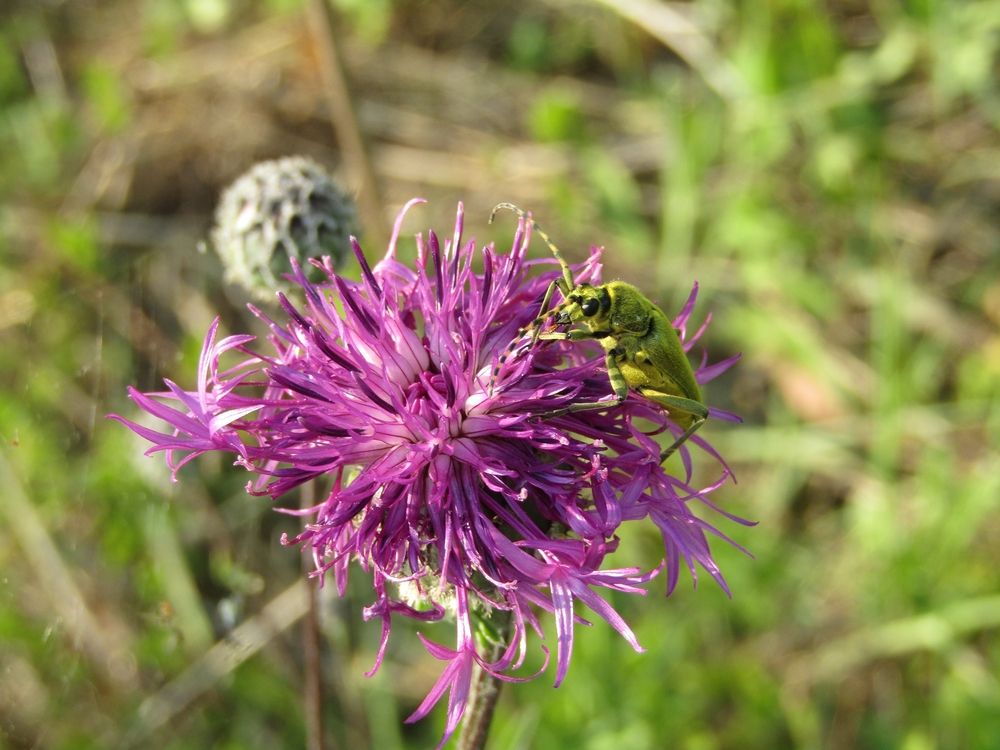 Photograph by Владимир Перминов