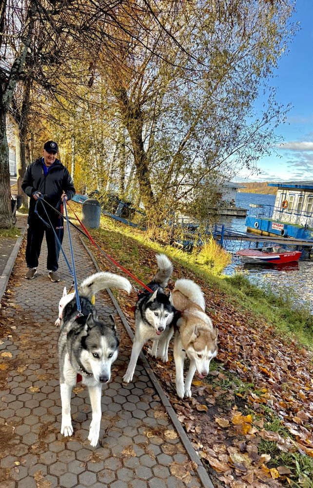 Photograph by Олег Травин