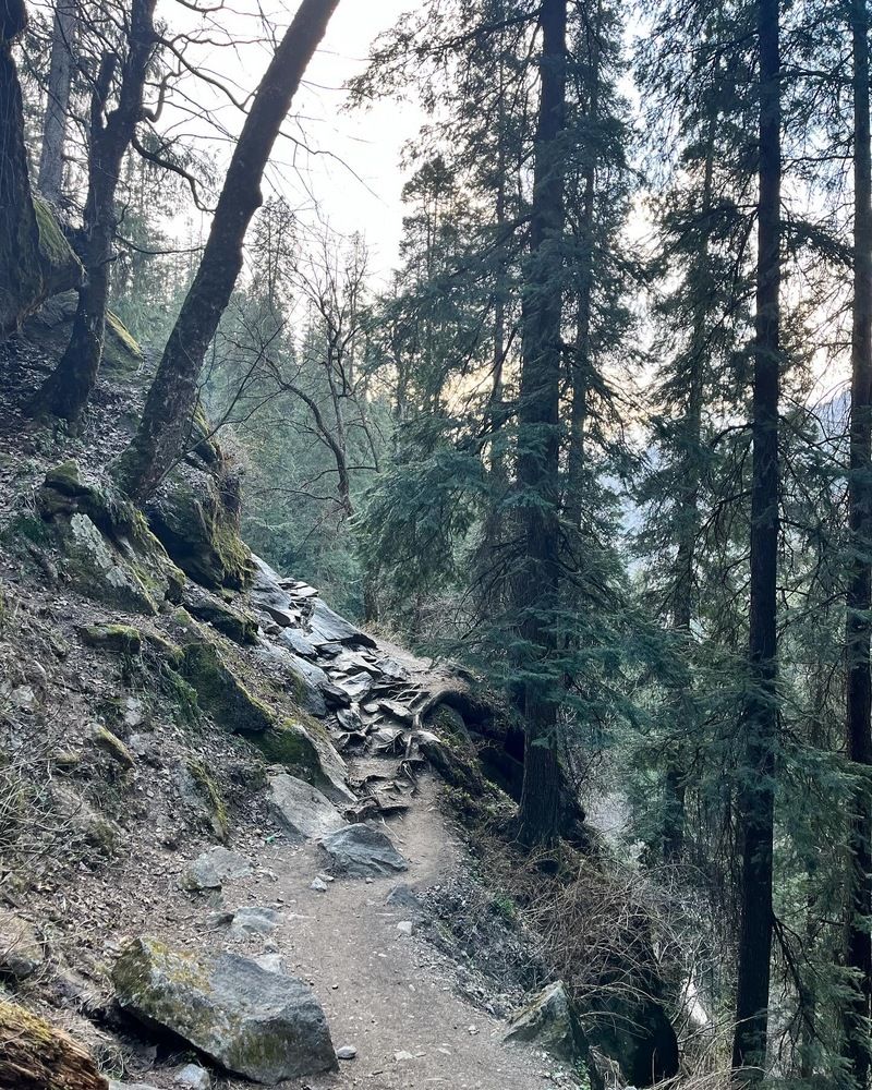 Photograph by Nishita Mondal