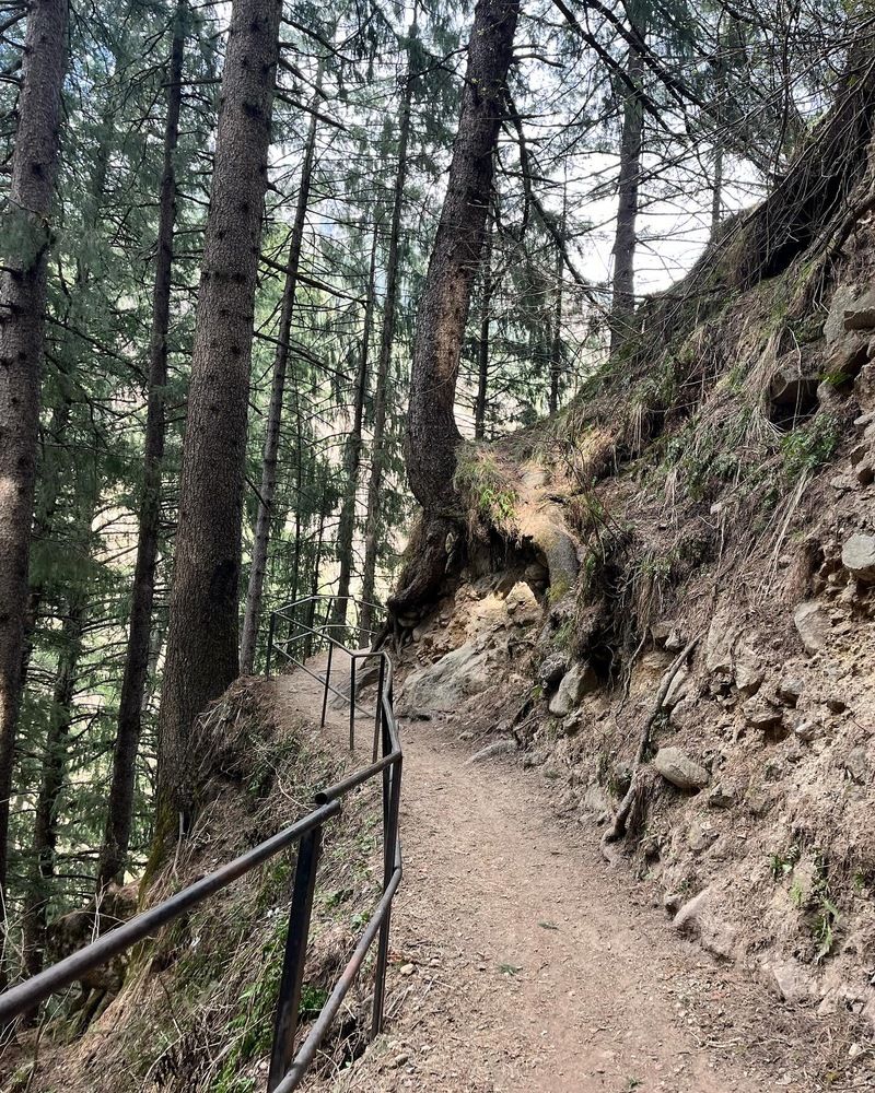Photograph by Nishita Mondal