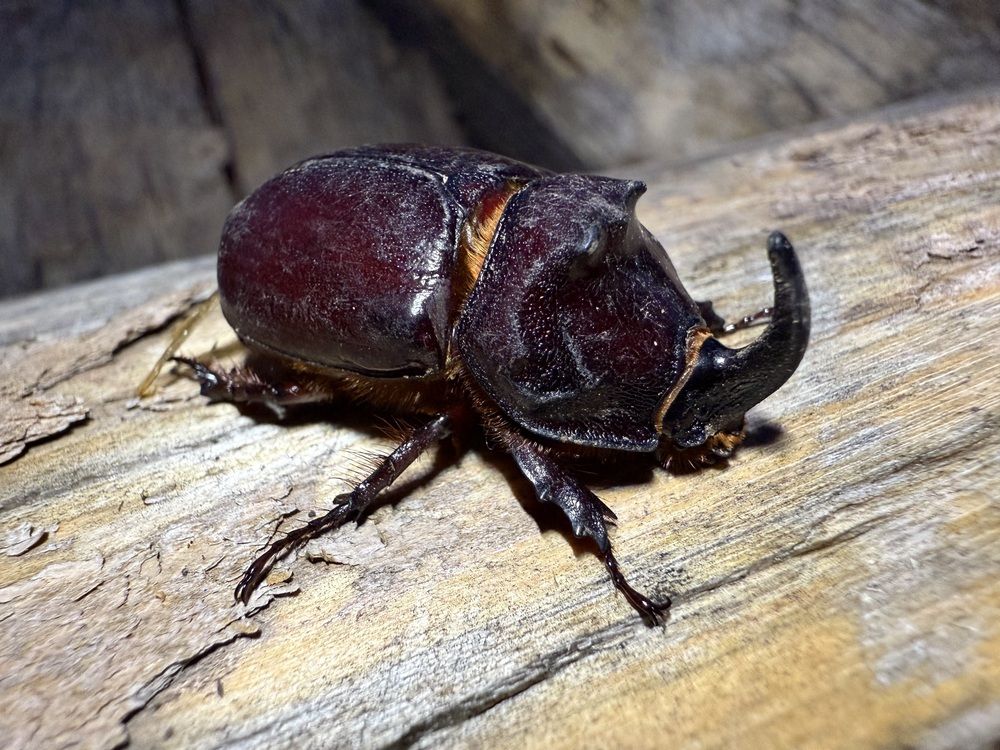 Photograph by Олег Травин