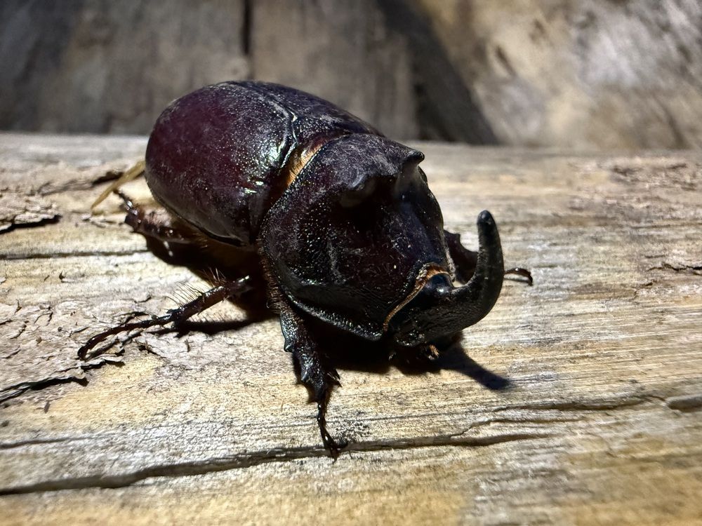 Photograph by Олег Травин