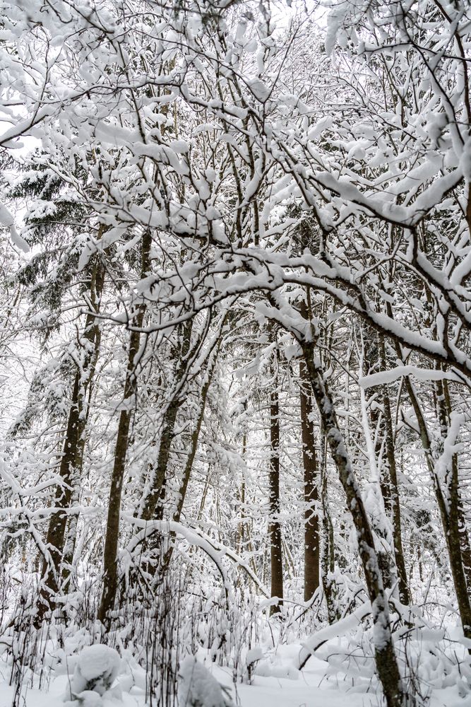 Photograph by Наталья Жигелис