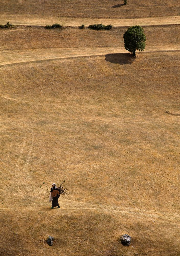 Photograph by Mojtaba Chenari