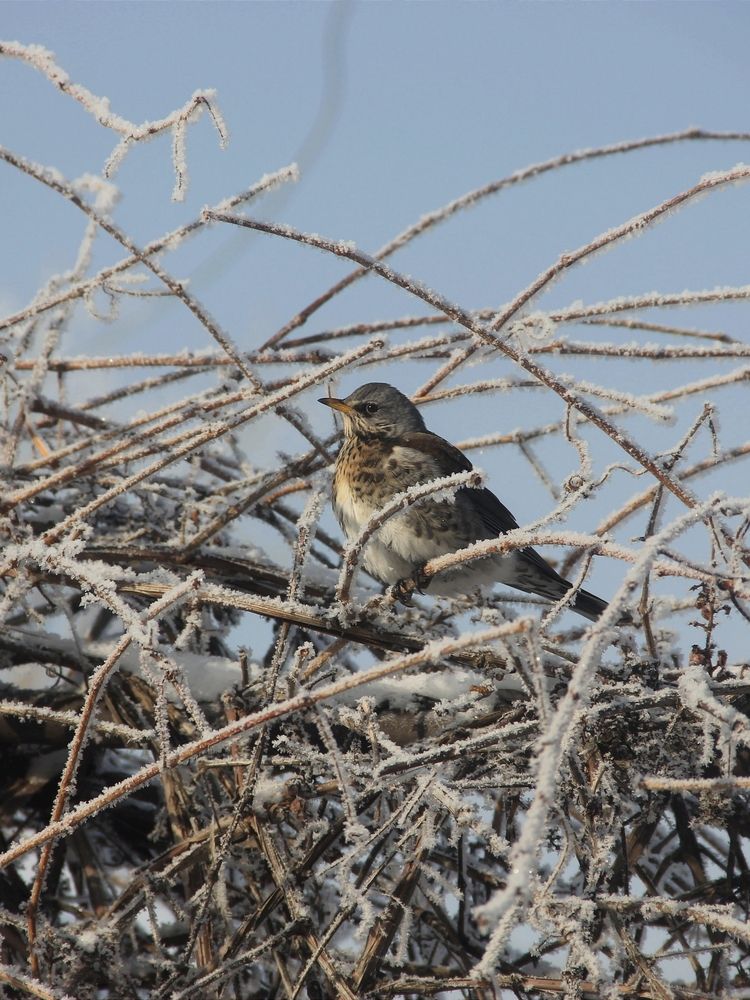 Photograph by Олеся
