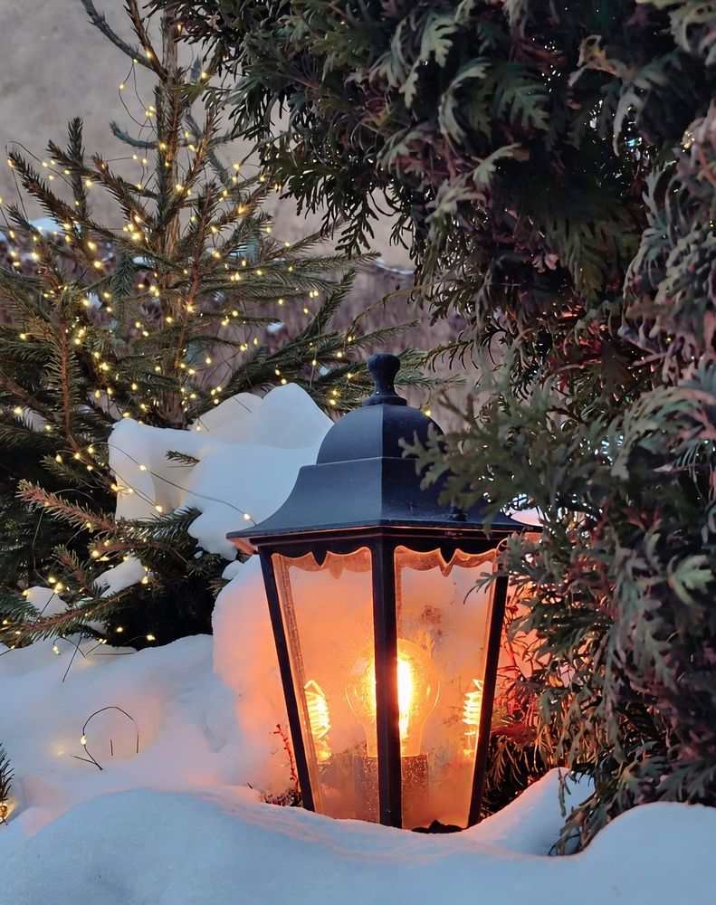 Photograph by Юлия Холомцева