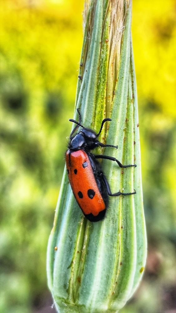 Photograph by Олеся