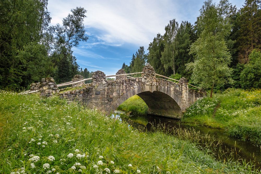 Новосильвийский мост. Павловский парк.