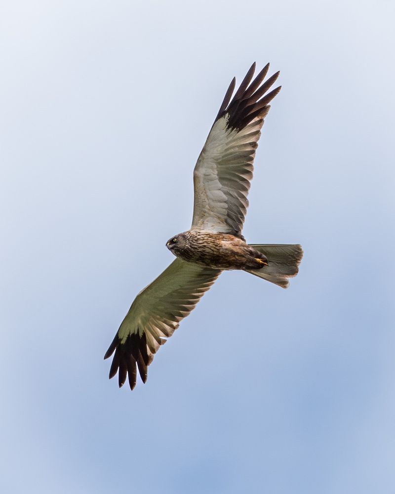 Photograph by Мамсур