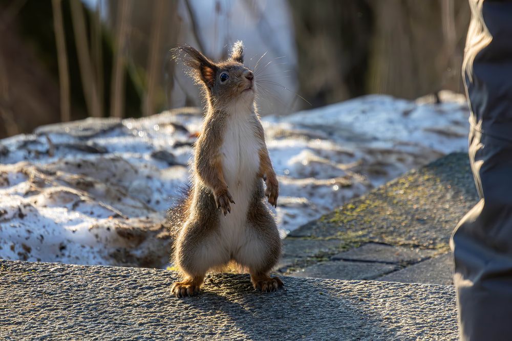 Photograph by Волынский Виктор