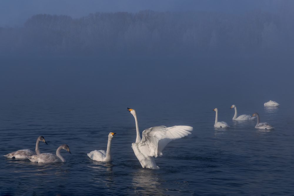 Photograph by Елена Овчинникова