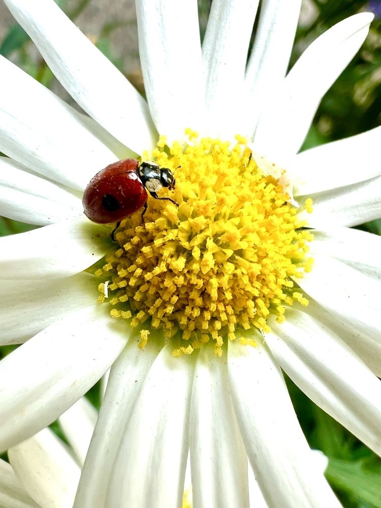 Photograph by Ирина Швейнова