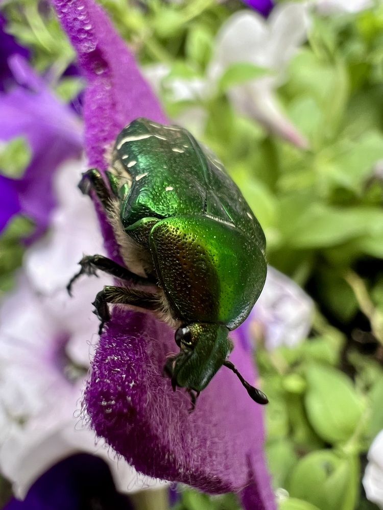 Photograph by Ирина Швейнова