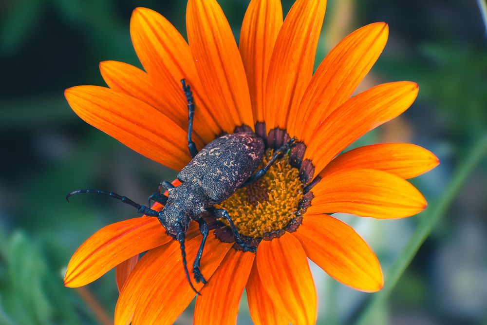 Photograph by Szilvia Farkas