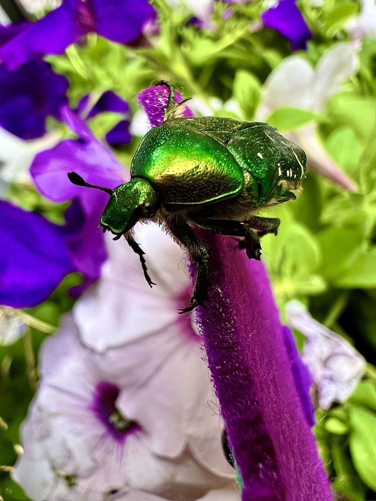 Photograph by Ирина Швейнова