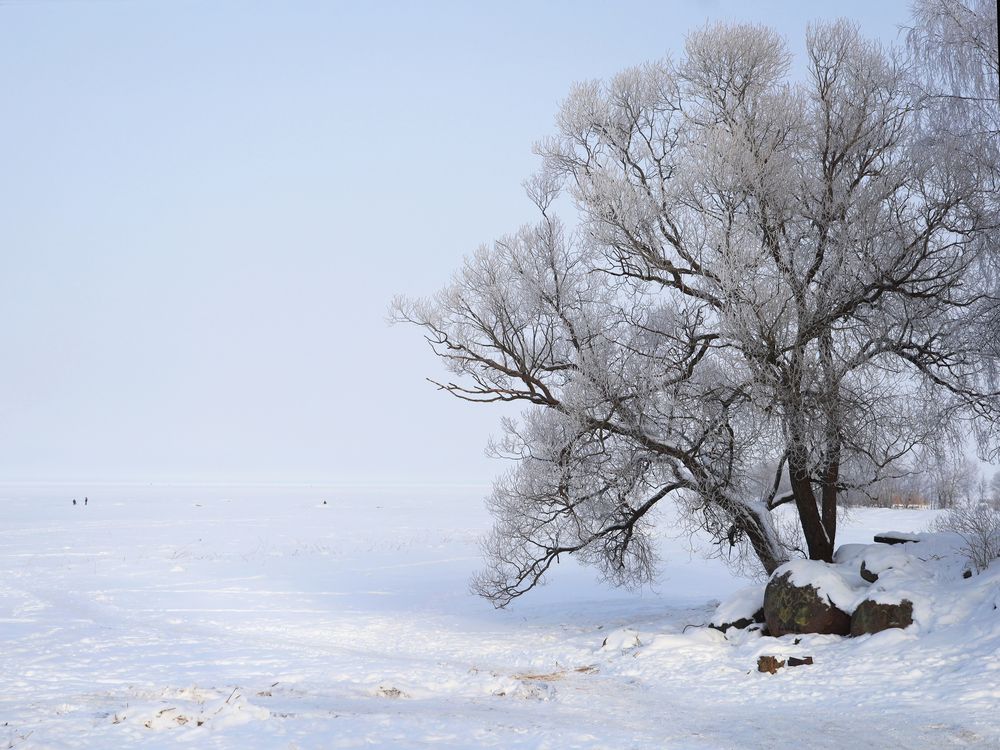 Photograph by Марианна Браун