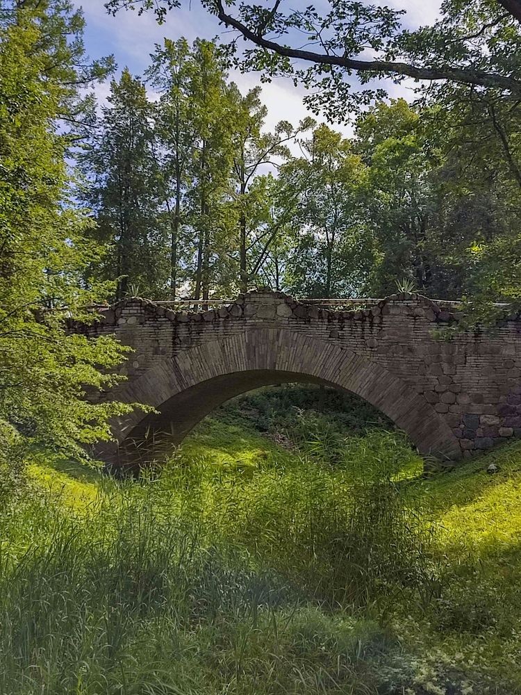 Photograph by Татьяна Петренко