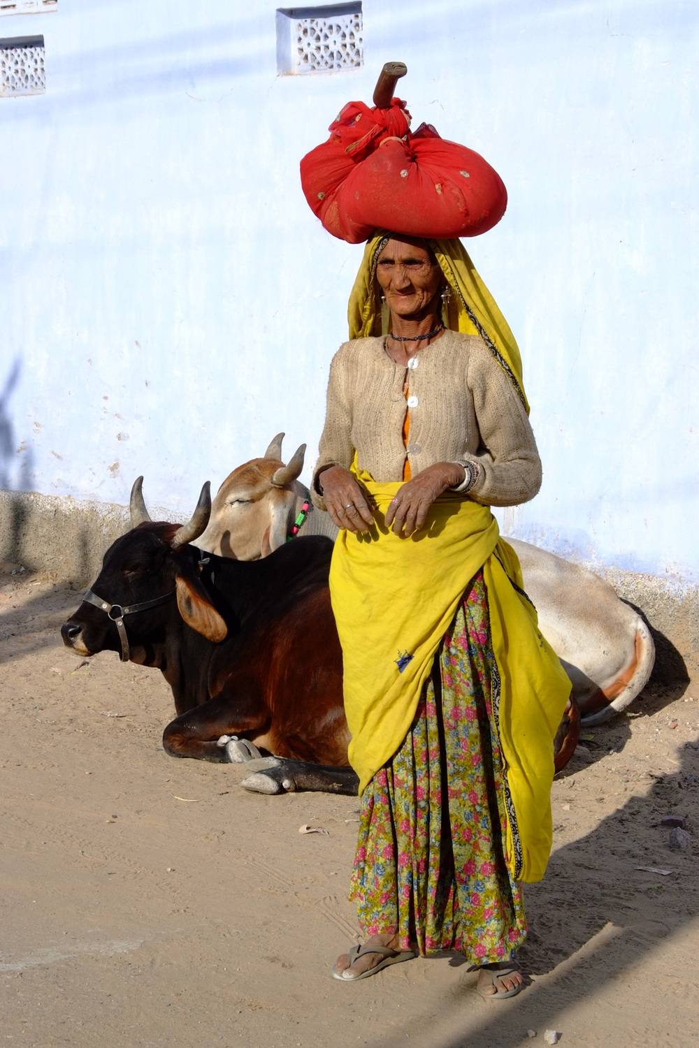 Фотография #13228006