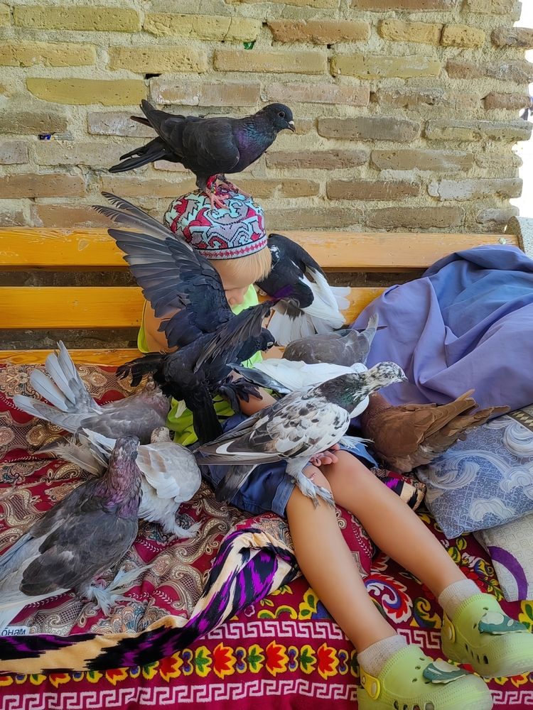 Photograph by Мария Самохвалова