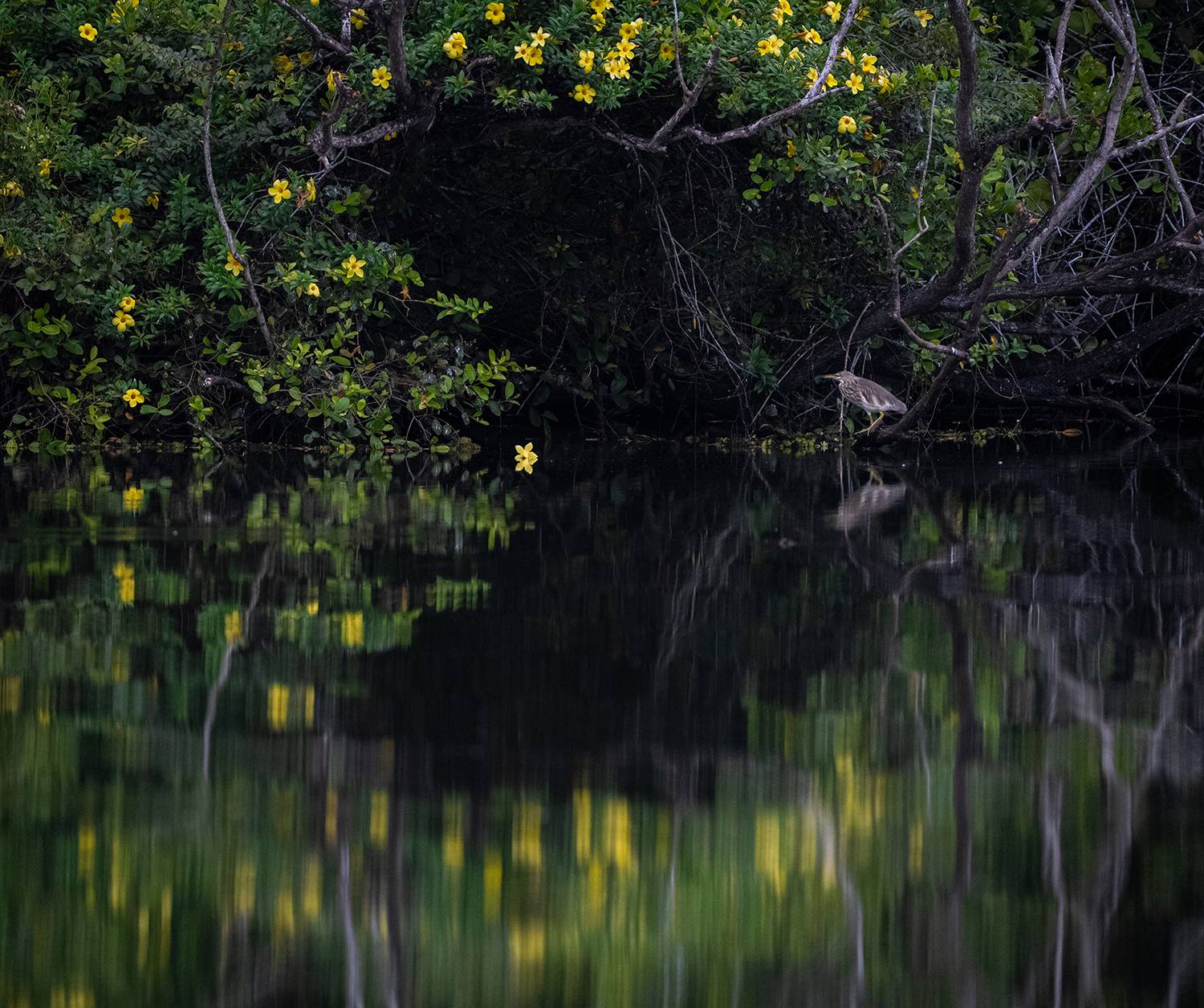 Фотография #13228033