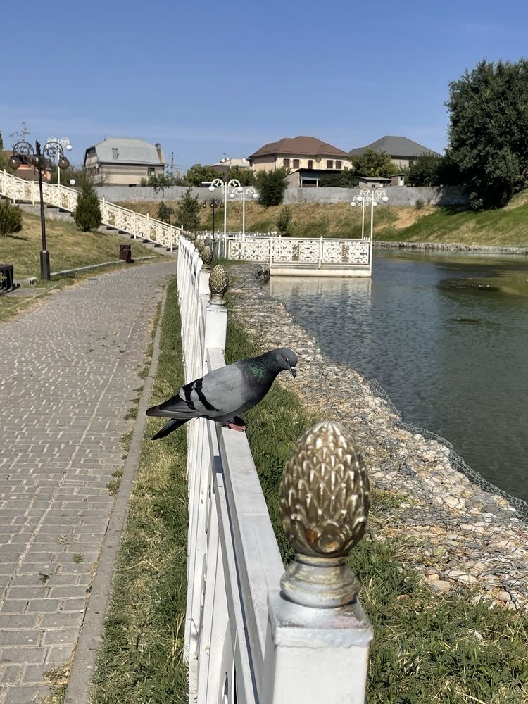 Photograph by Дарья Ларченко