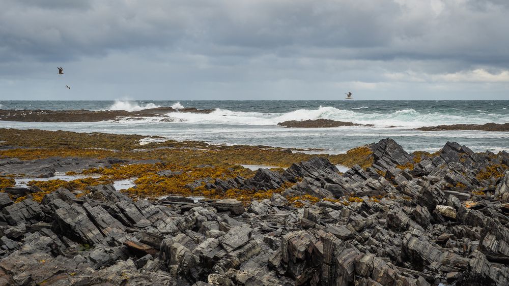 The Barents Sea.
