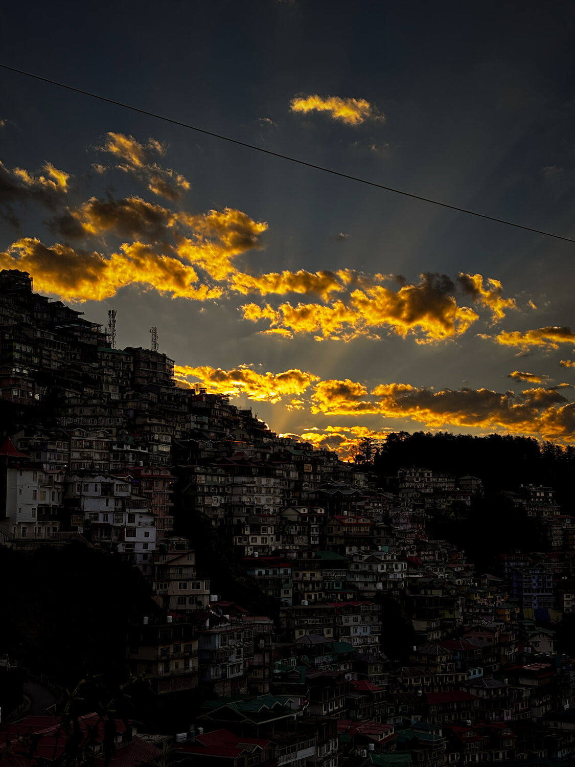 Photo #13228101