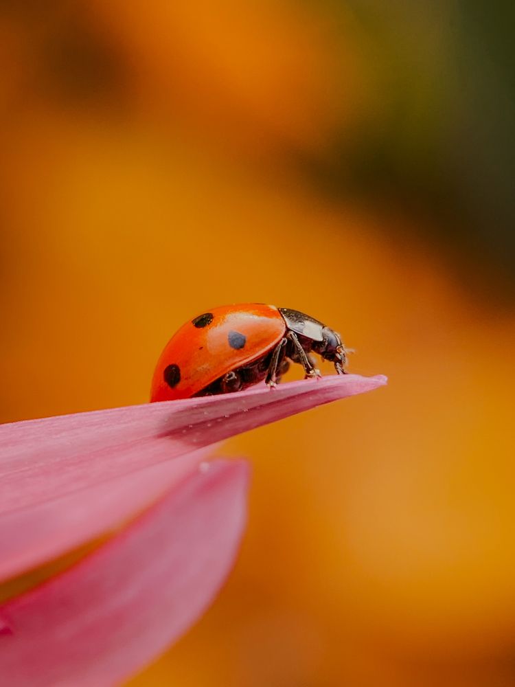 Фотография автора Андрей Васильев