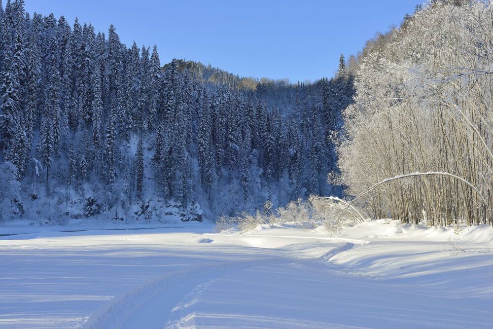 Photograph by Юрий Тимофеев