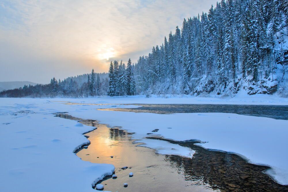 Photograph by Юрий Тимофеев