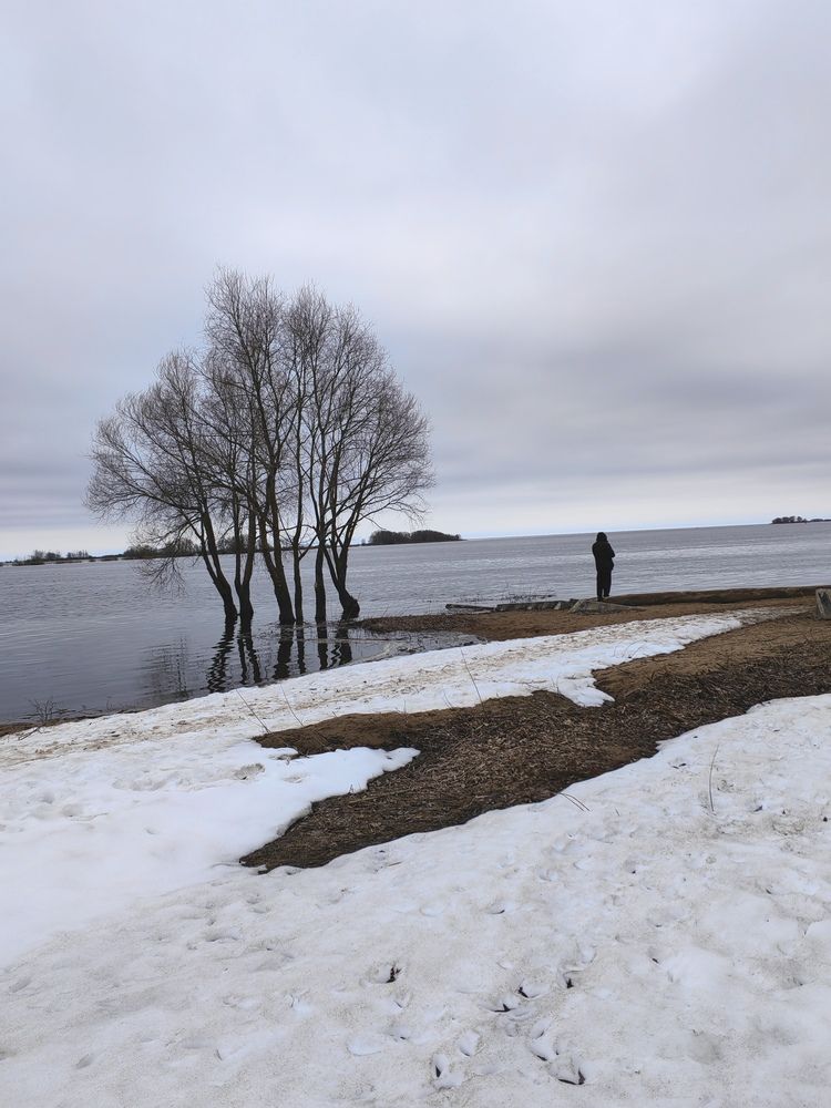 Photograph by Ульяна Кузьмина