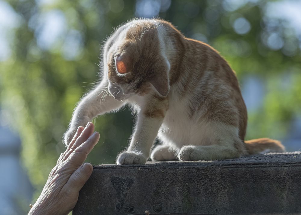 Photograph by ПУЗЕНКО ДМИТРИЙ