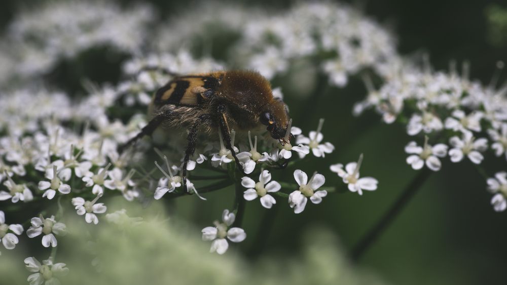 Фотография автора Войнов Дмитрий