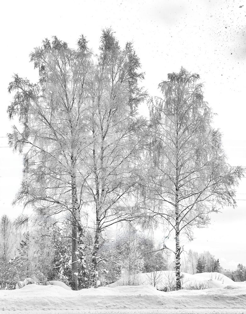 Photograph by Наталия Березина