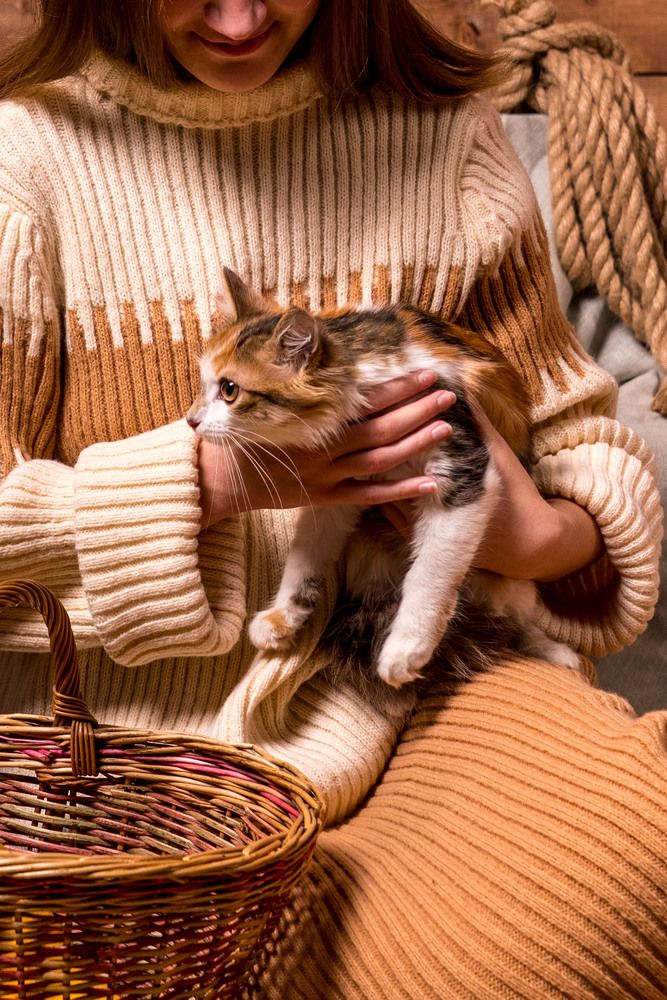 Фотография автора Светлана Волкова