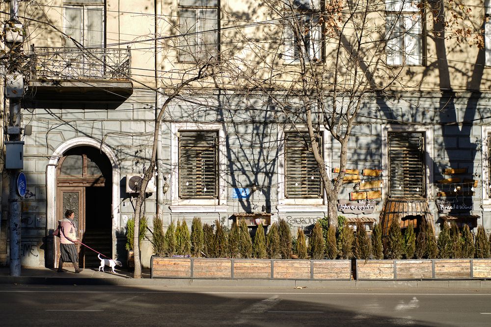 Photograph by Александр Фирстов