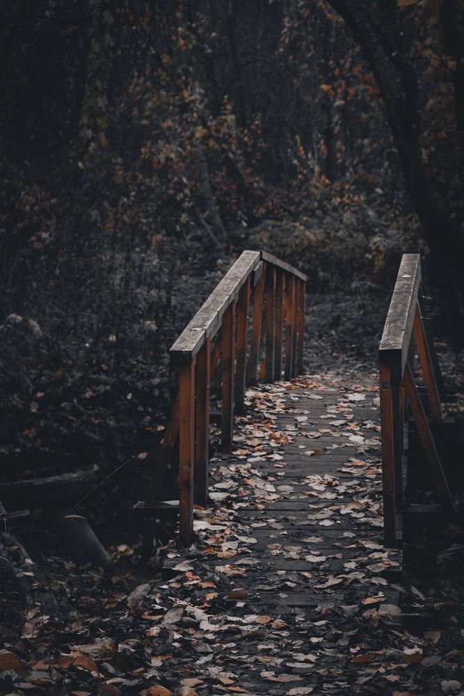 Фотография автора Войнов Дмитрий