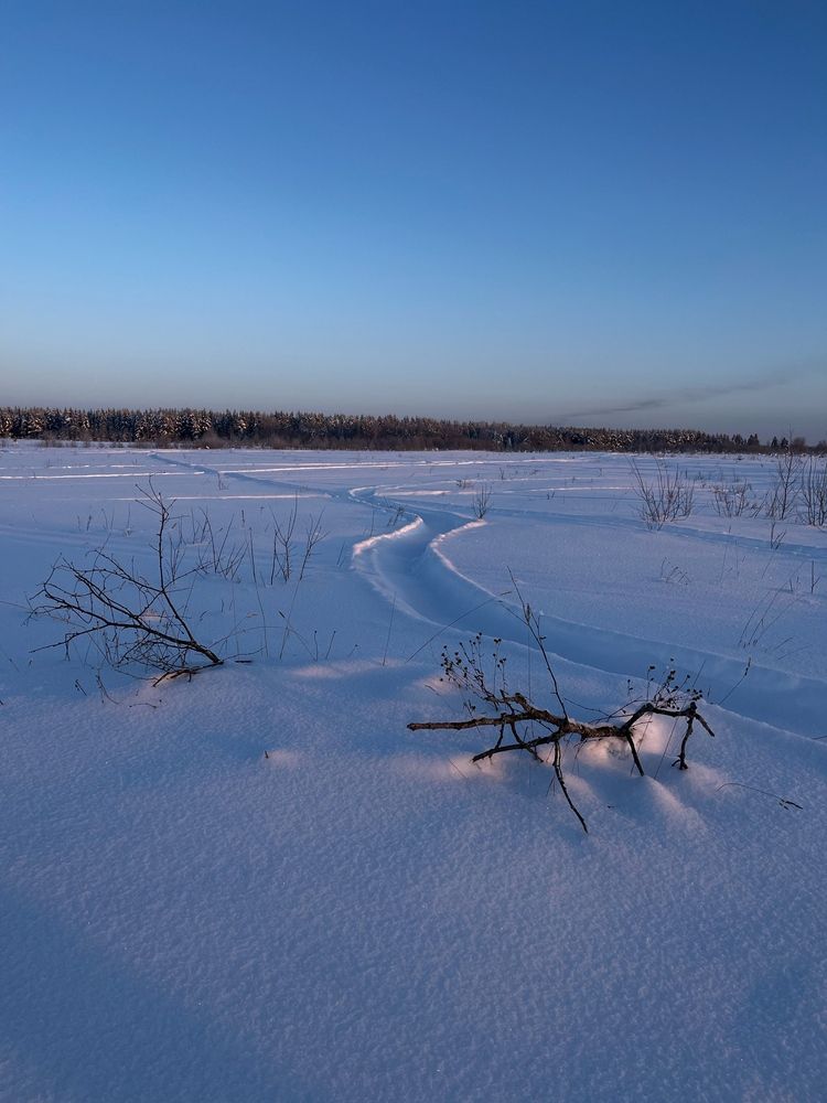 Photograph by Наталья Простова