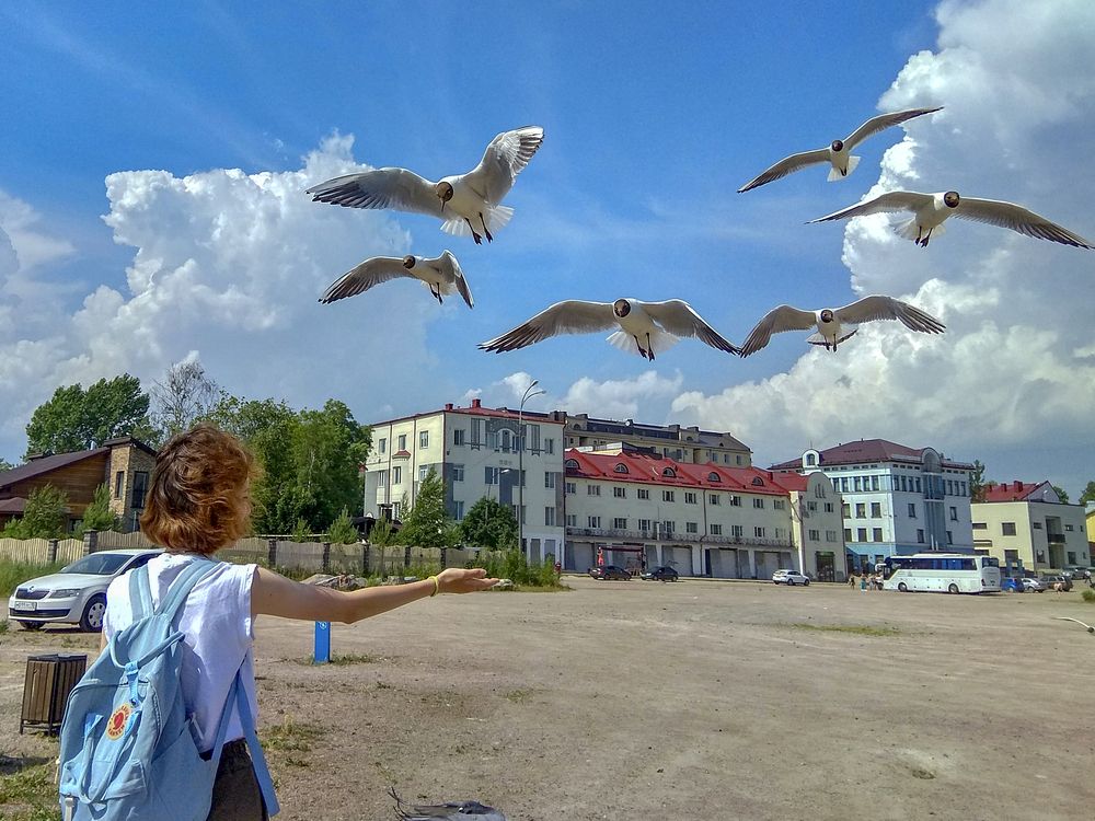 Photograph by Татьяна Петренко