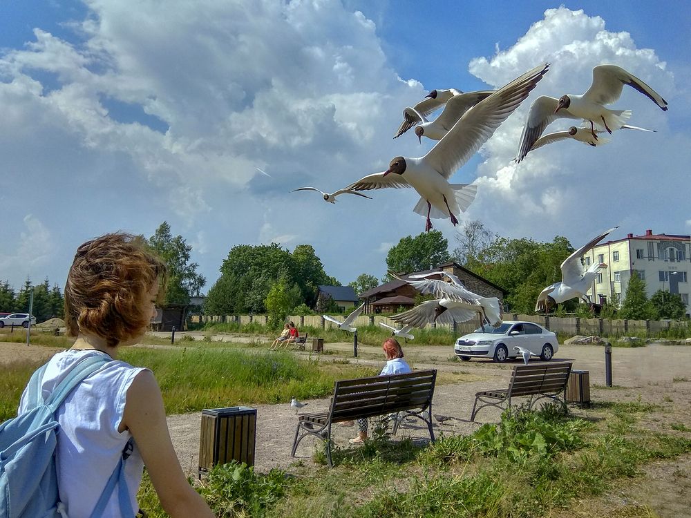 Photograph by Татьяна Петренко