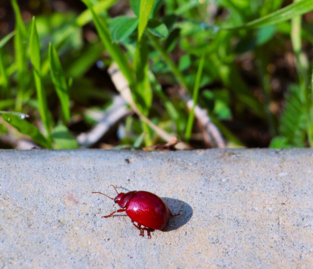 Photograph by Людмила Бутова