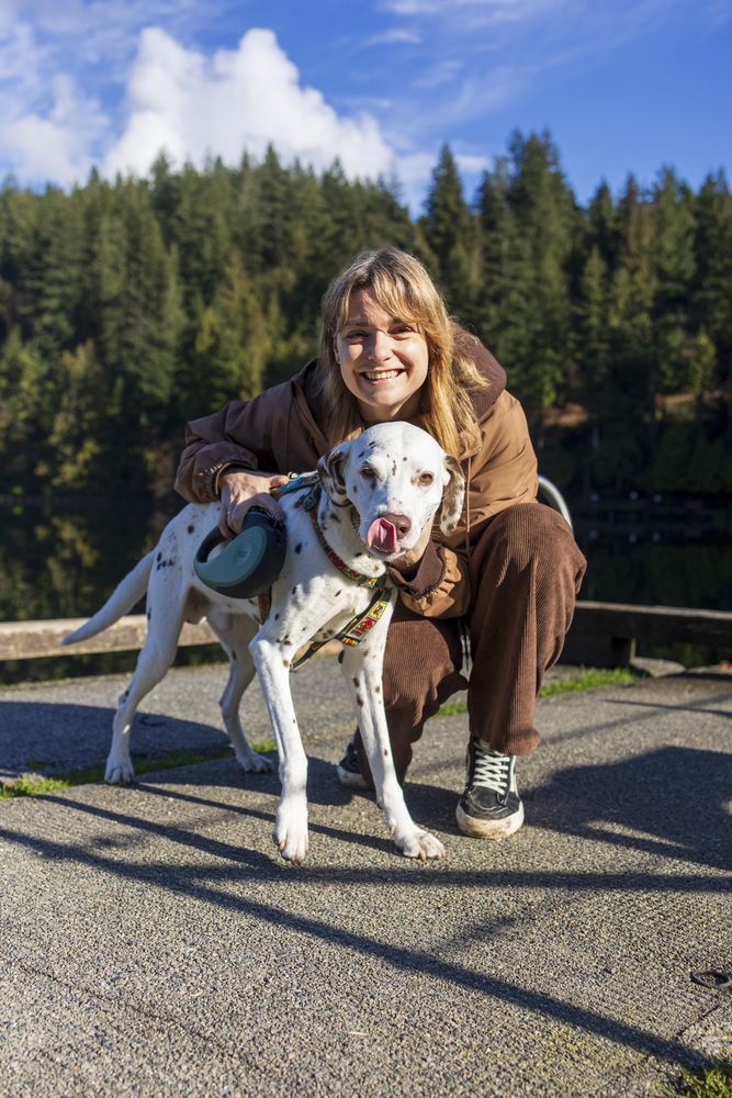 Фотография автора Евгений Цапенко