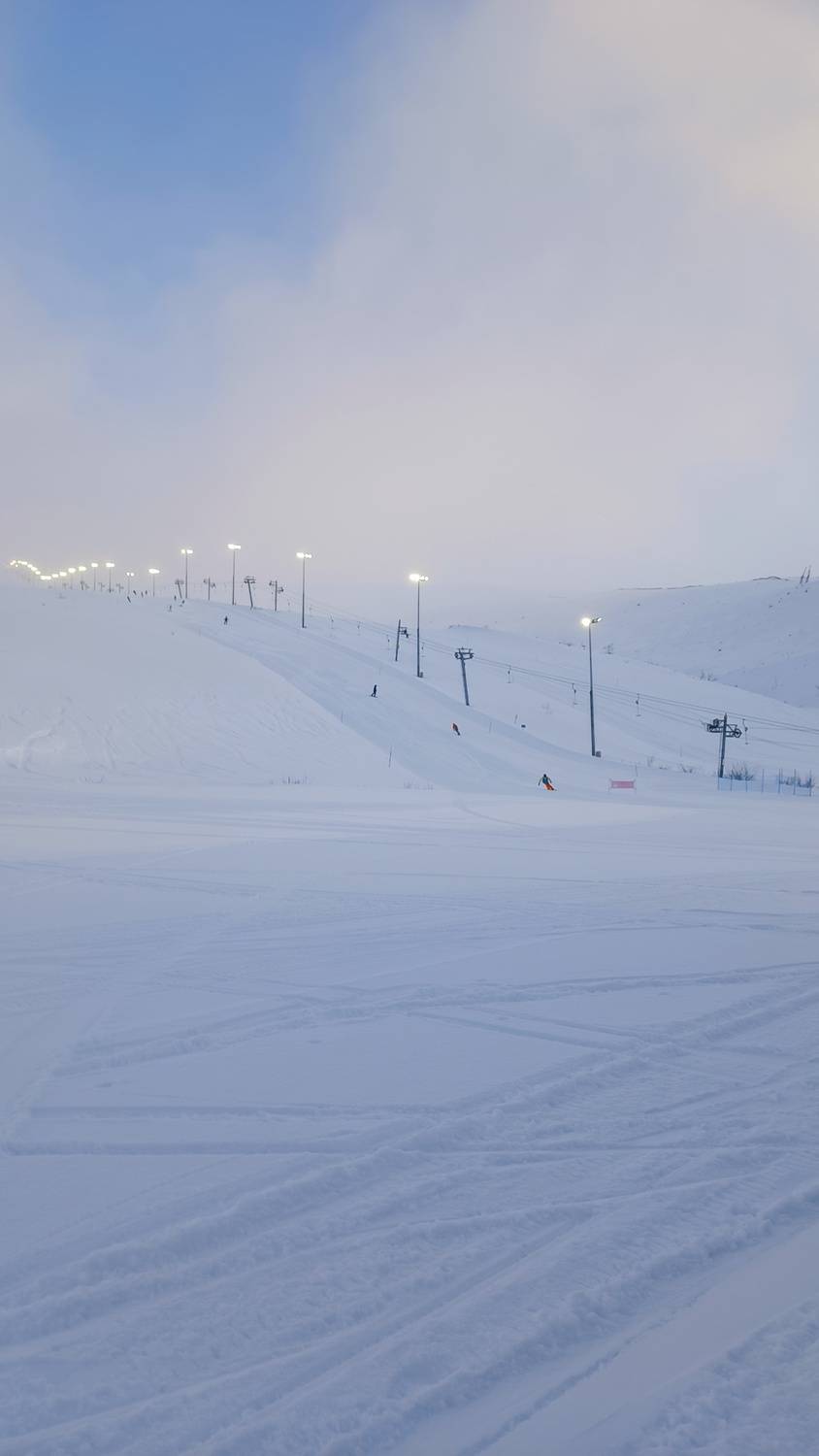 Фотография #13228350