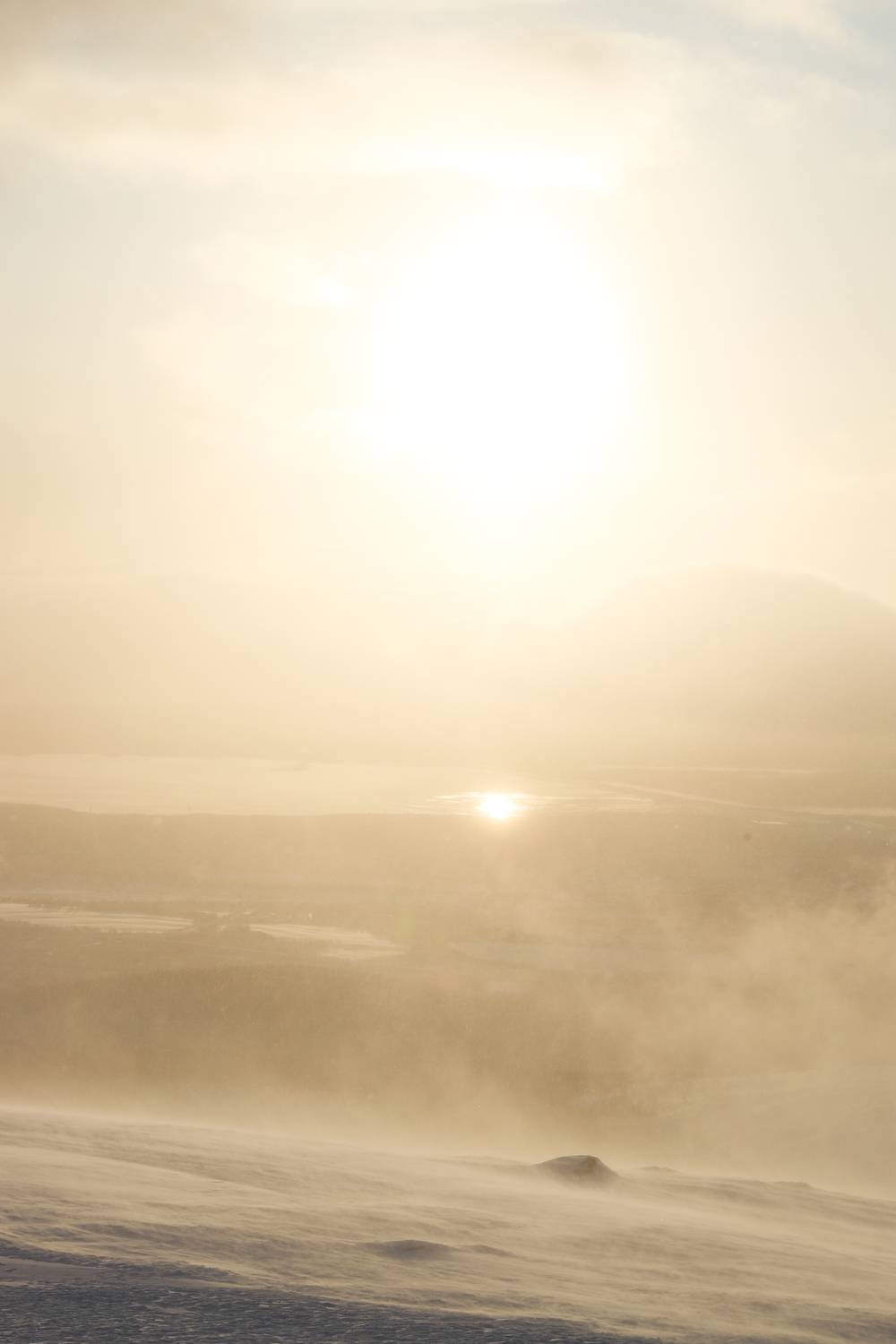 Фотография #13228351